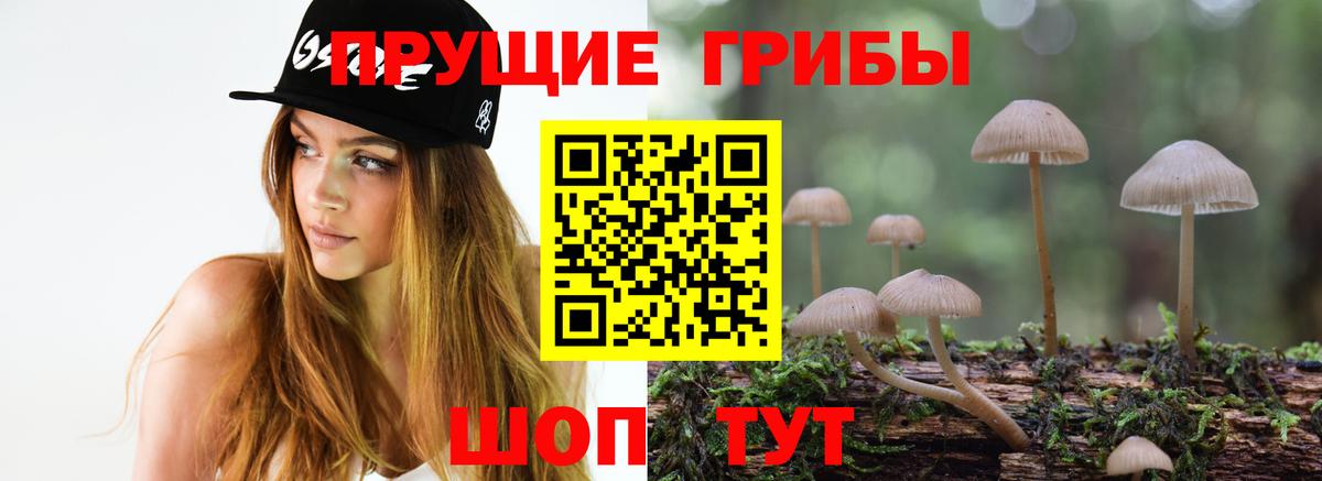 Галлюциногенные грибы MAGIC MUSHROOMS  Вход с VPN  Томск 