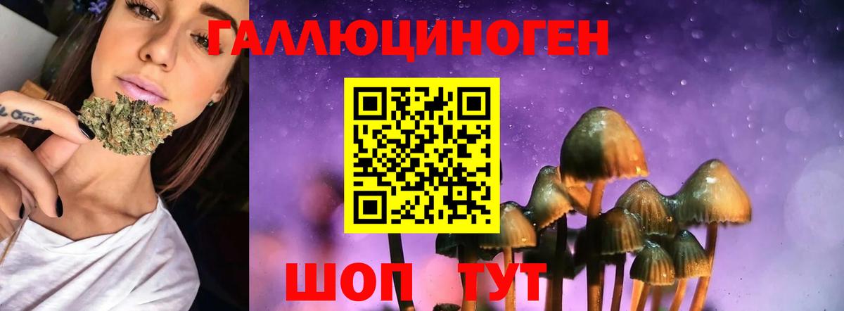 Галлюциногенные грибы GOLDEN TEACHER Томск