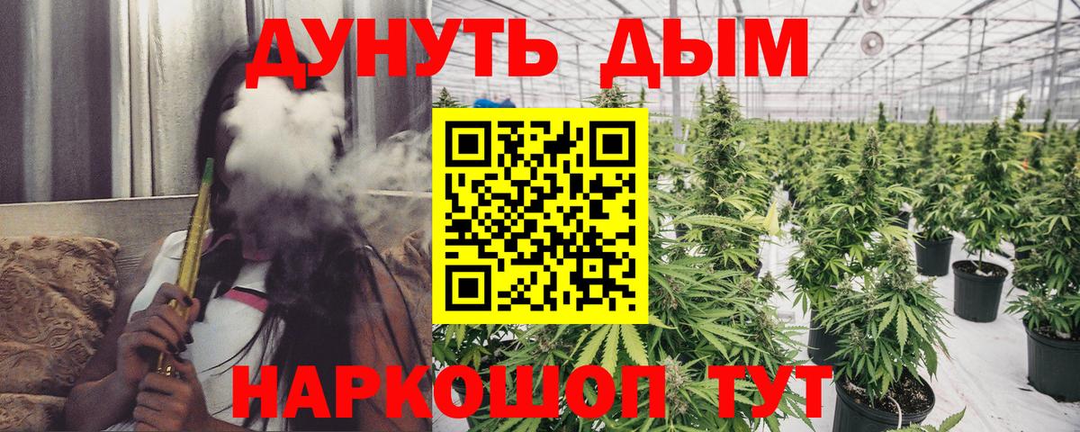 Конопля семена  Каннабис сатива  Томск  Марихуана White Widow  Вход с VPN 